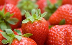 strawberry-730447_960_720-599x381