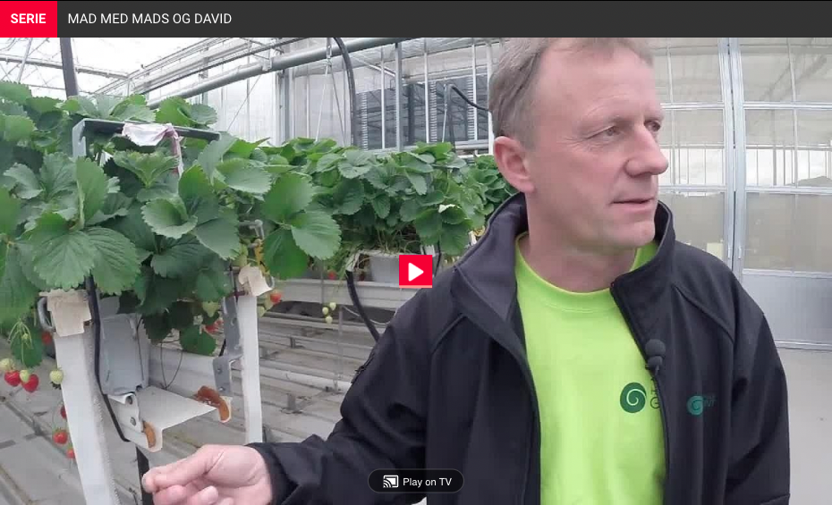 Screenshot 2021-04-13 at 10.55.06